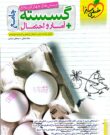 کتاب گسسته و آمار و احتمال جامع خیلی سبز ارزان